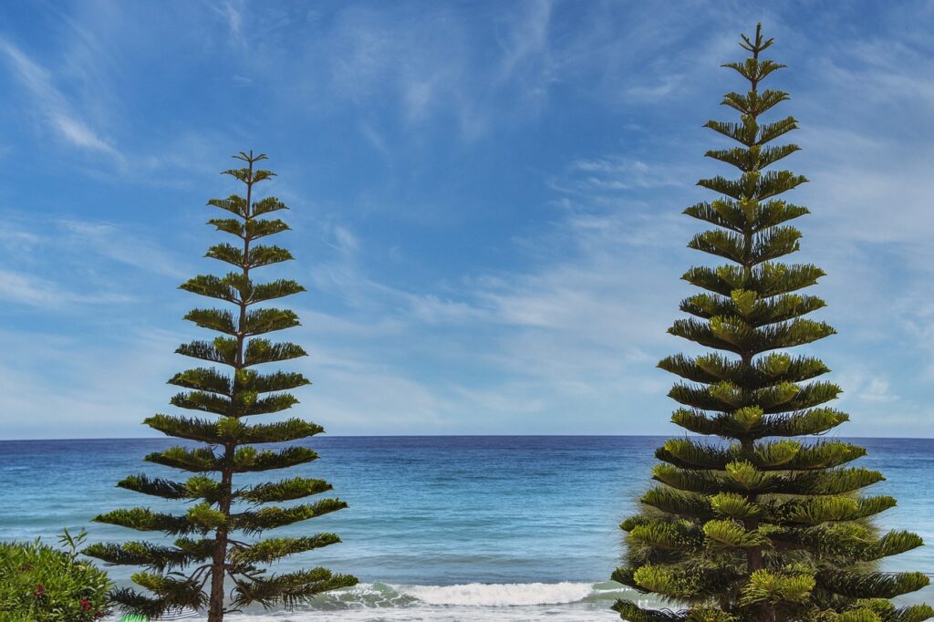 discapitalied finance updates by disquantified