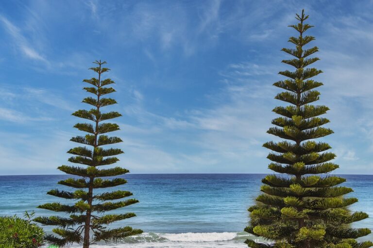 discapitalied finance updates by disquantified