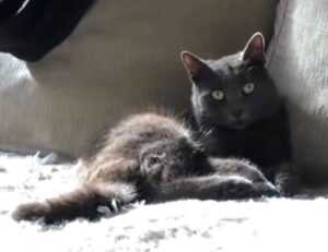 aggr8budgeting finance guideline from aggreg8