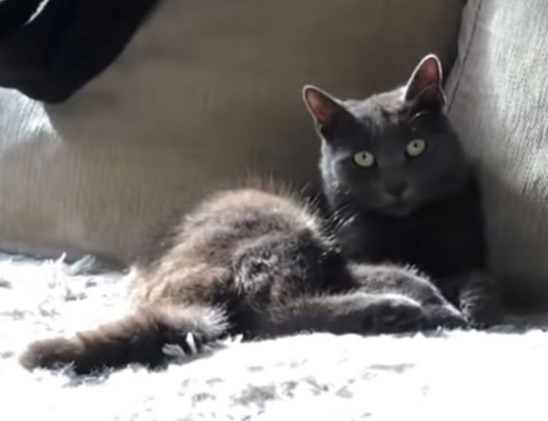 aggr8budgeting finance guideline from aggreg8