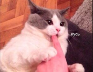 business advice aggr8taxes