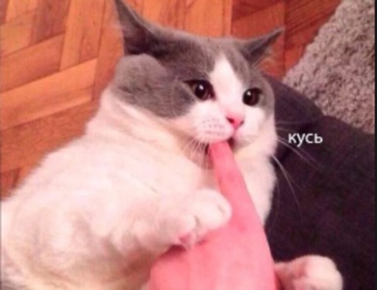 business advice aggr8taxes