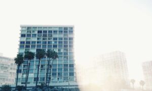 business guide dismoneyfied