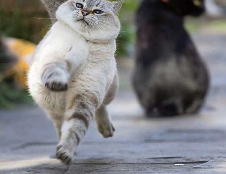 business tips disbusinessfied