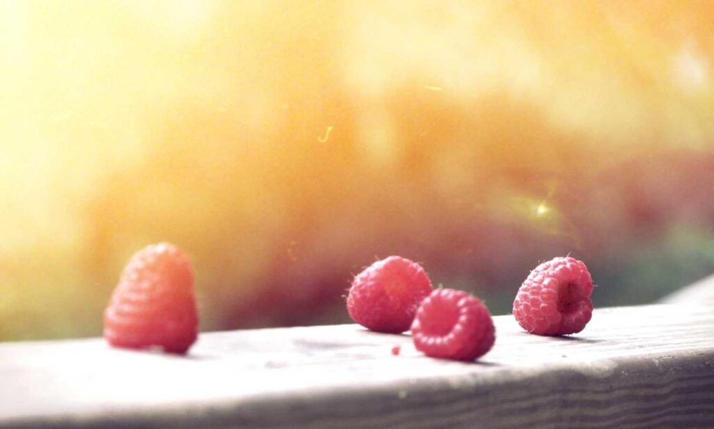 capital management aggr8budgeting