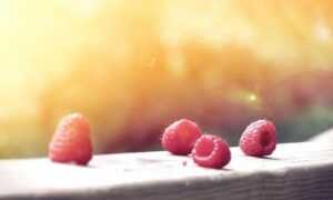 capital management aggr8budgeting