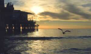 capital management tips aggr8budgeting