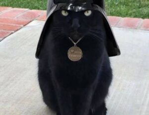 contracts aggr8taxes