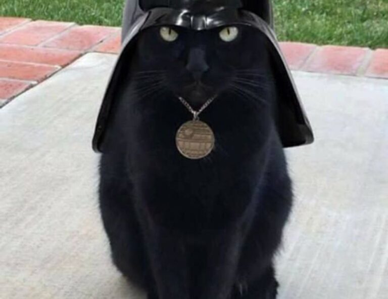 contracts aggr8taxes