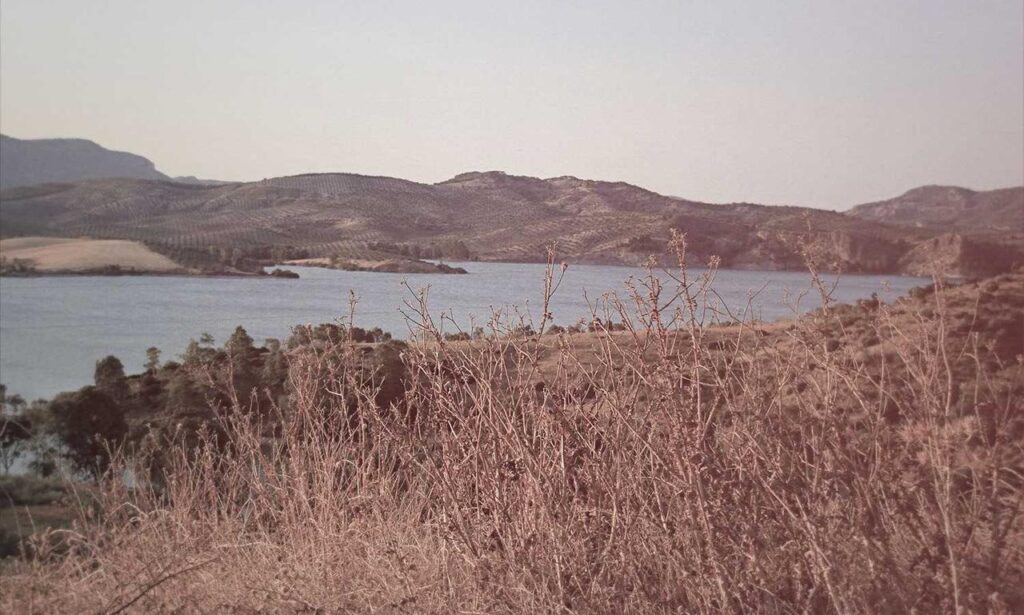 economy news ontpinvest