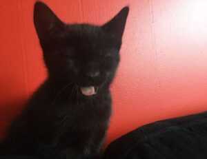 financial news aggr8budgeting