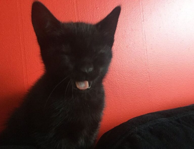 financial news aggr8budgeting