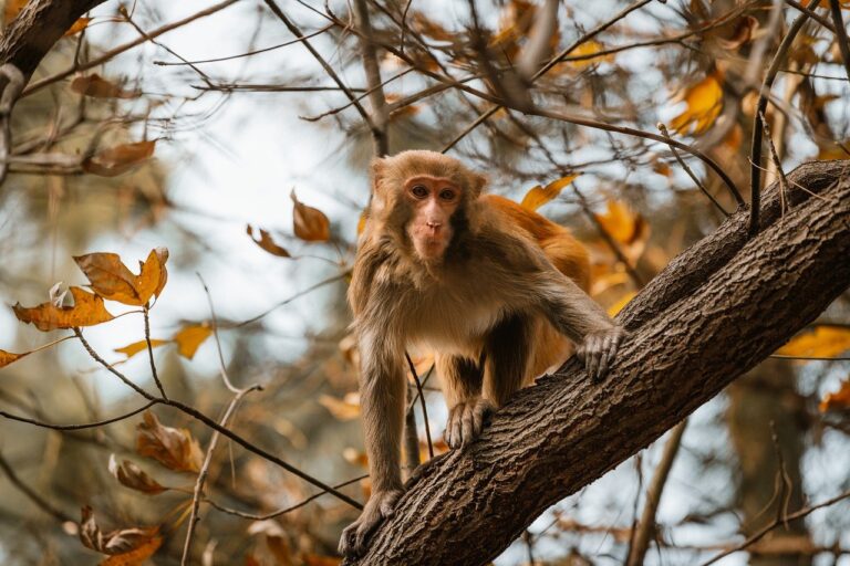 financial tips disbusinessfied