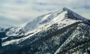 flexible budgeting aggr8budgeting by aggreg8