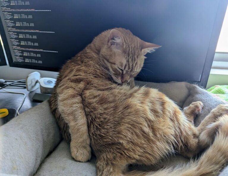 guides aggr8budgeting