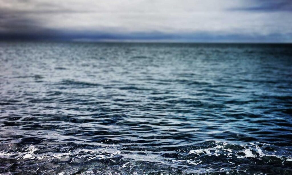 how much should financial advice cost ontpinvest