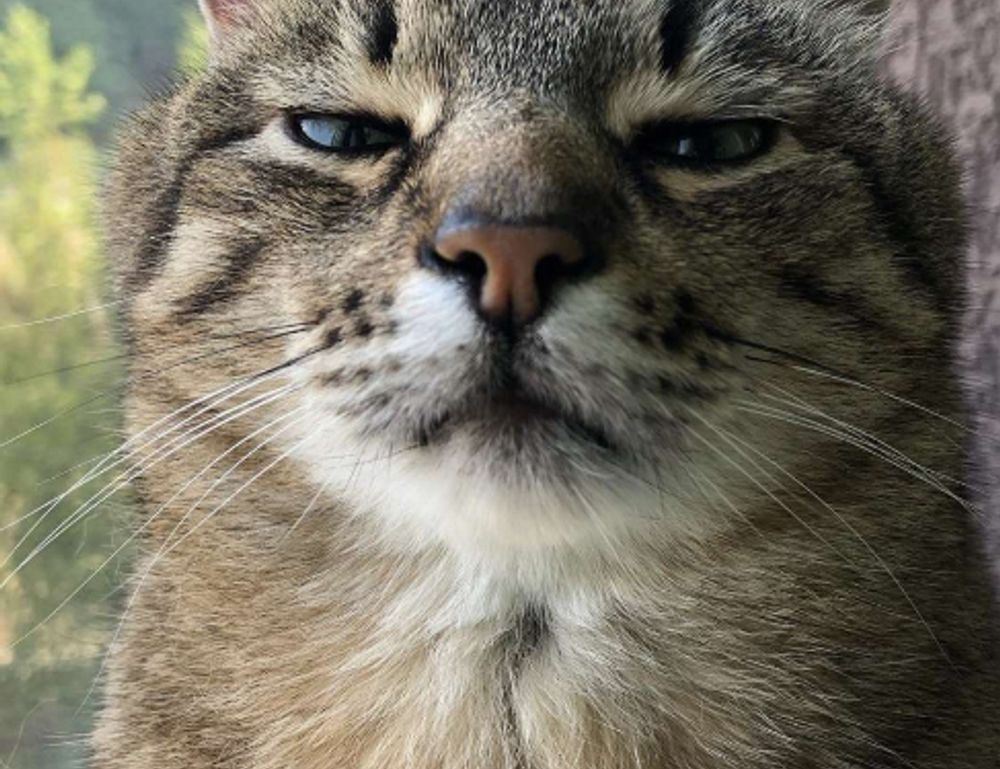 how to find a good business to start disbusinessfied