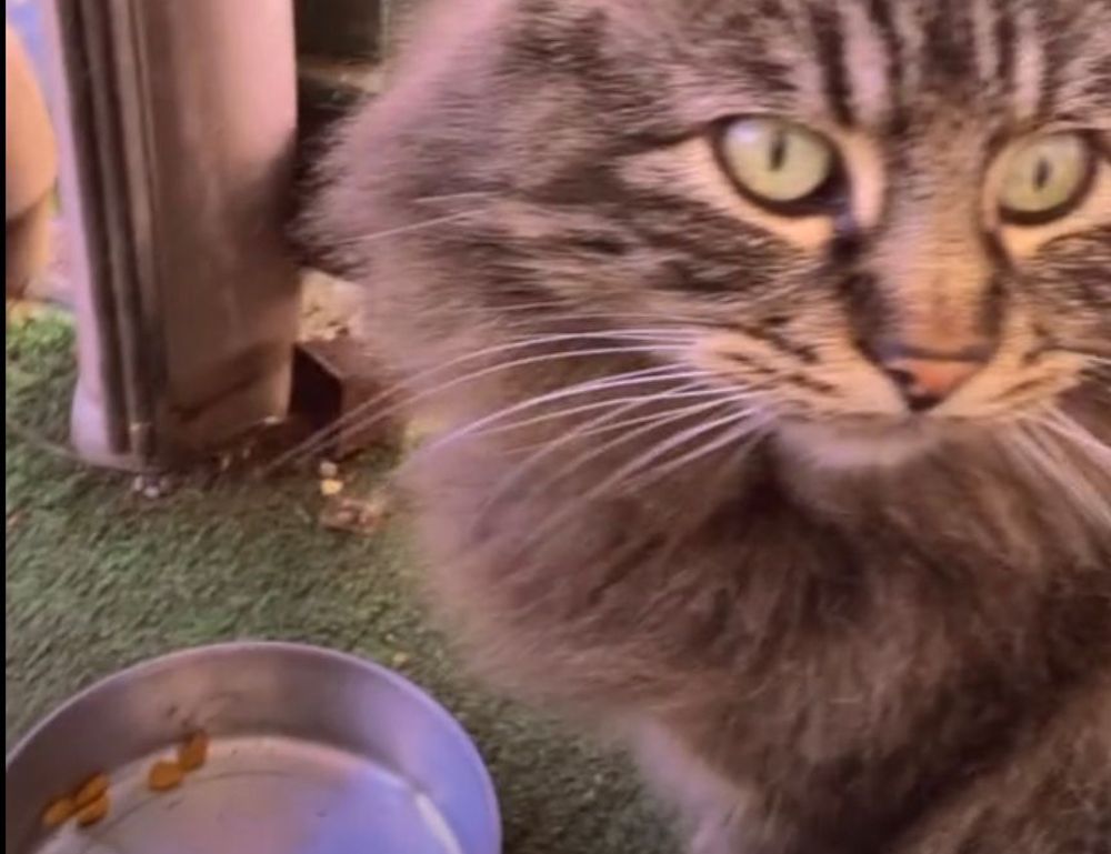 investment guide discommercified