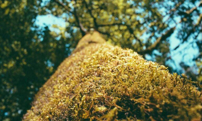 investment hacks discommercified