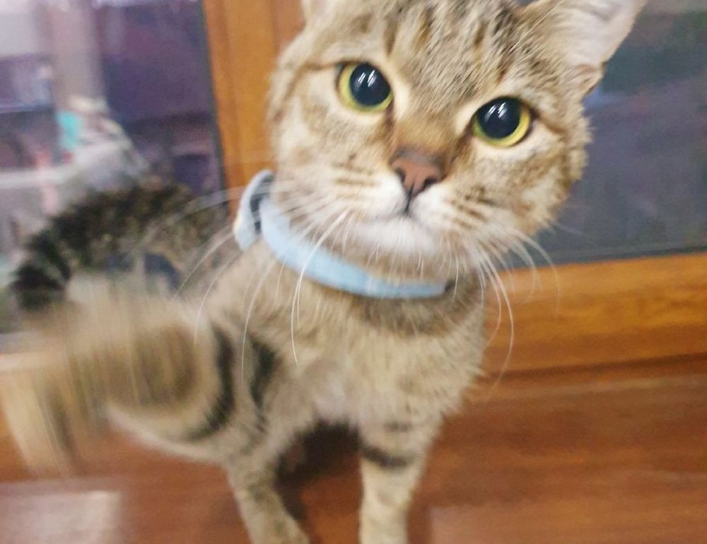 investment tips discommercified