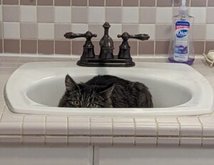 land contracts aggr8taxes