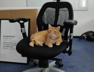 management tips aggr8budgeting