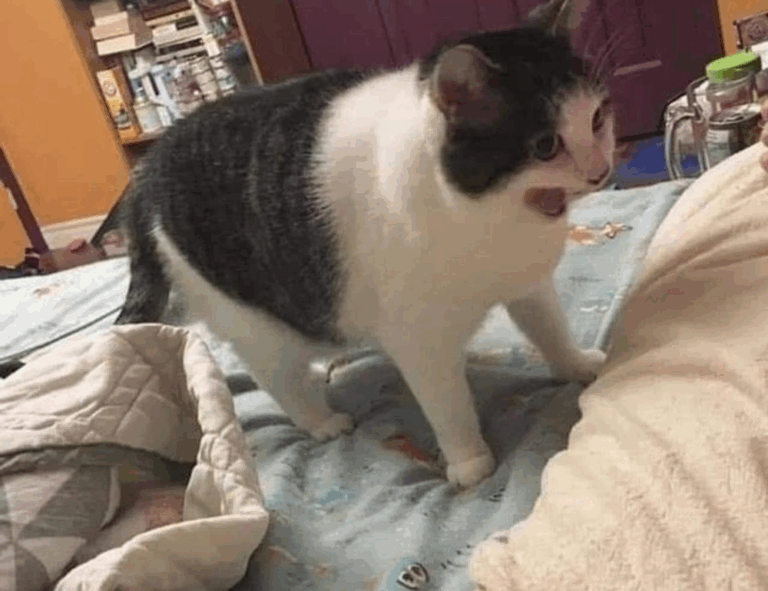 money disbusinessfied