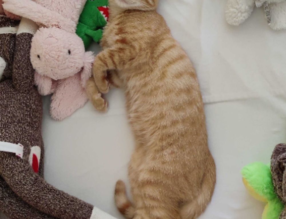 money hacks discommercified