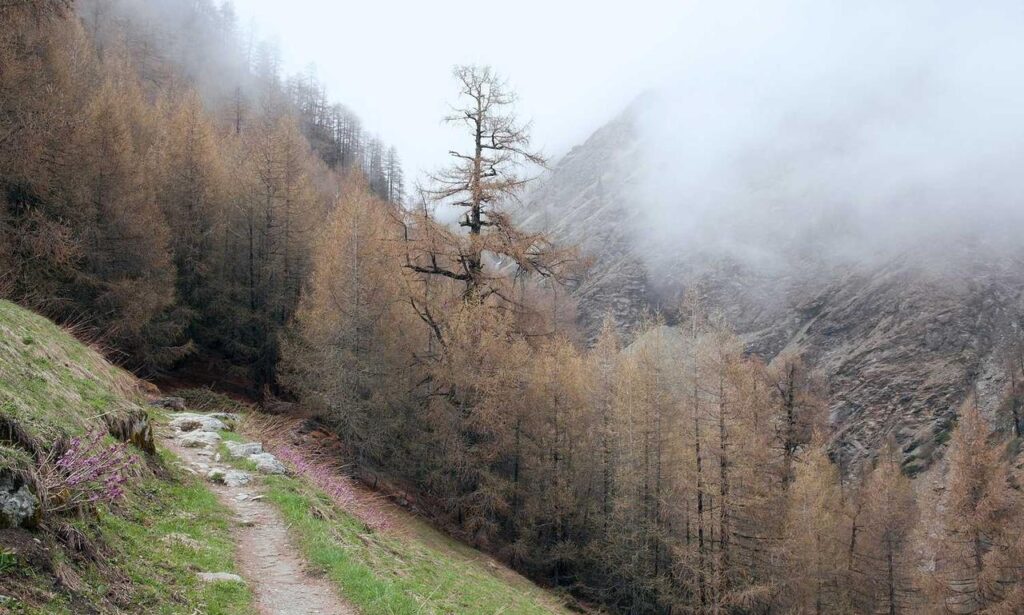 money management ontpinvest