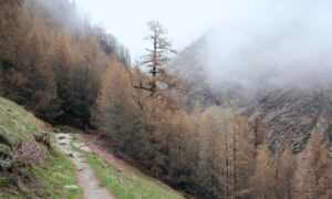 money management ontpinvest