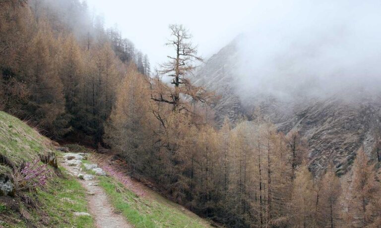 money management ontpinvest