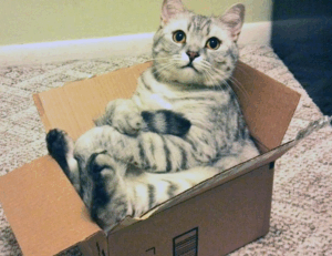 money management tips ontpinvest