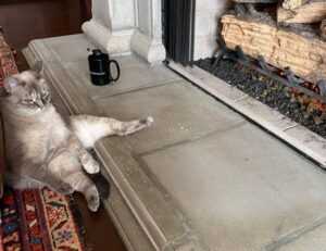 what are good ideas for business aggr8budgeting