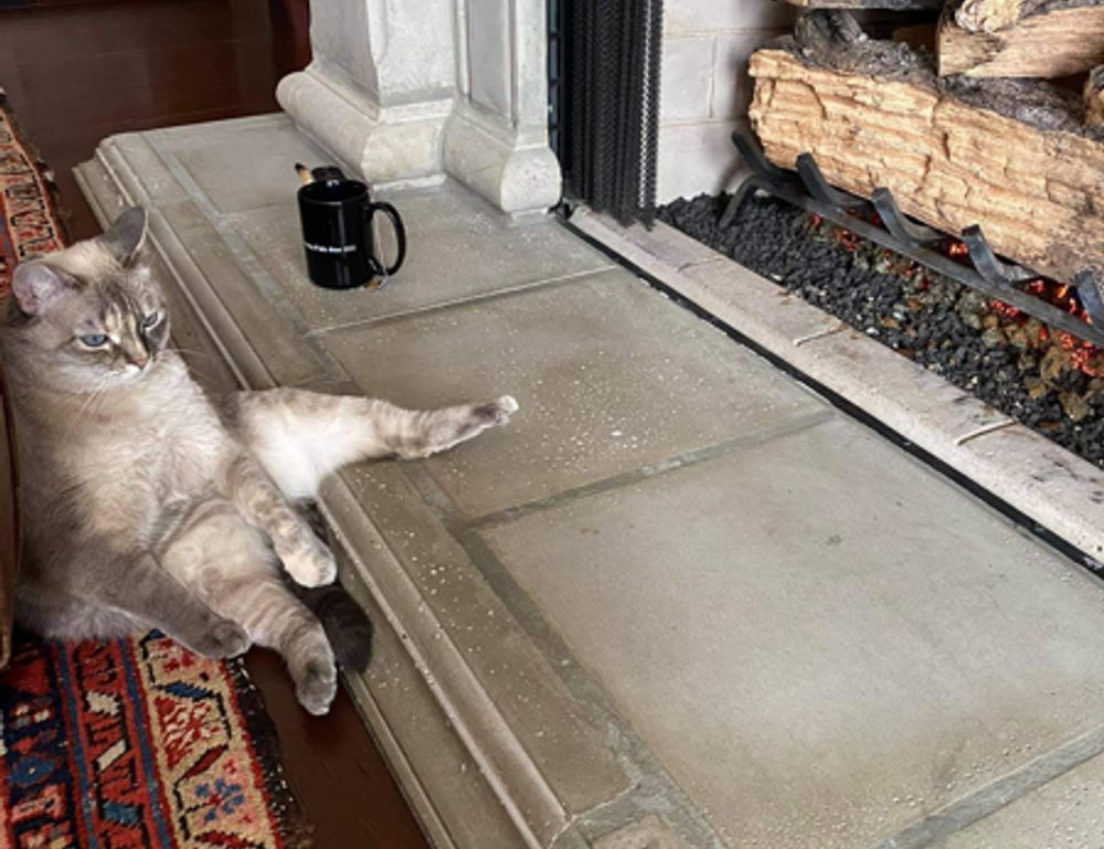 what are good ideas for business aggr8budgeting