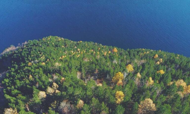 what investment should i start with dismoneyfied