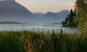 when to change investment strategy dismoneyfied