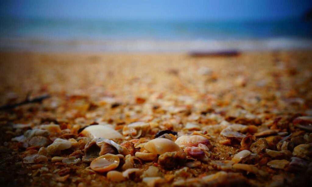 which investment is the safest ontpinvest