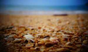 which investment is the safest ontpinvest