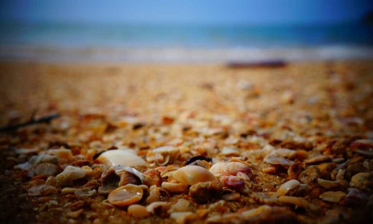 which investment is the safest ontpinvest