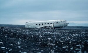 why business mentoring is important disbusinessfied