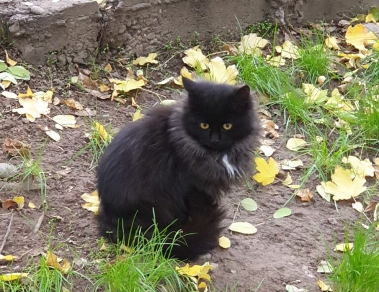 why invest in apartments ontpinvest