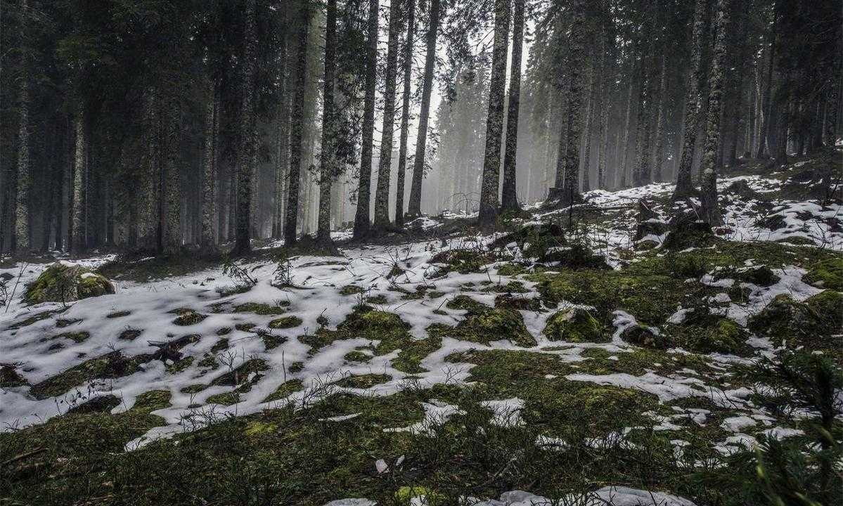 fundraising strategy