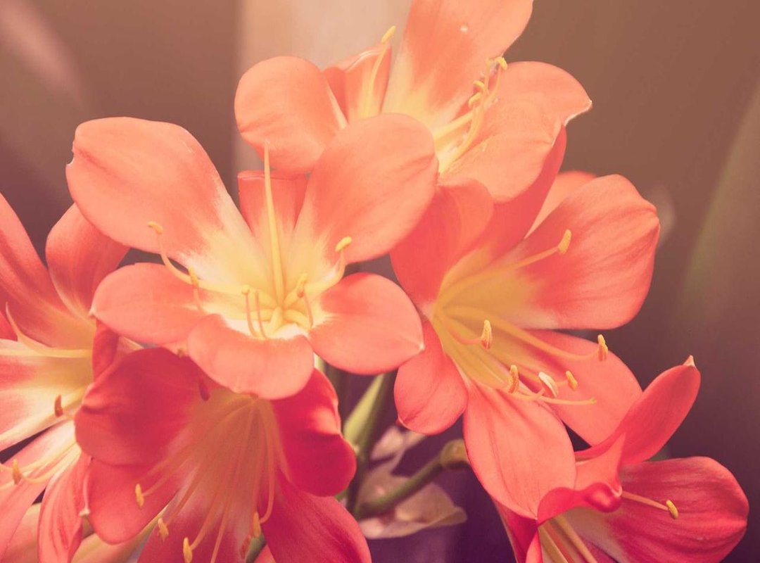 Step-by-Step Guide: Sketching the Head and Torso