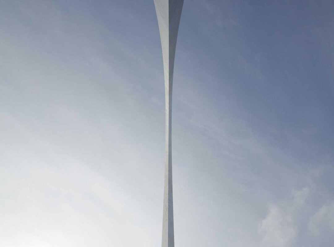 Beyond Fur and Feathers: Fish, Insects, and Reptiles