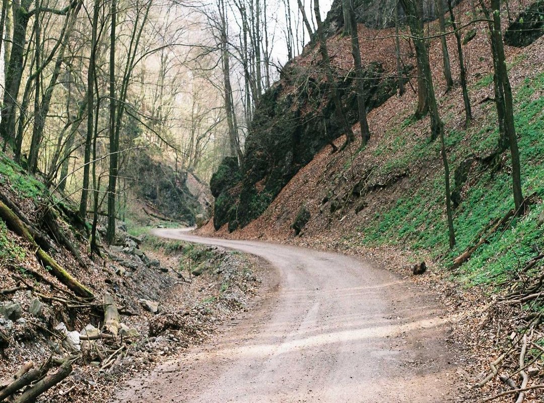 Step-by-Step: How to Find a Specific Notice Today