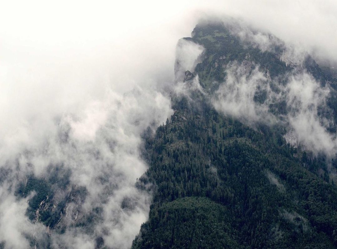 Iconic Sarcastic Quotes from Mafalda (with English Translations)