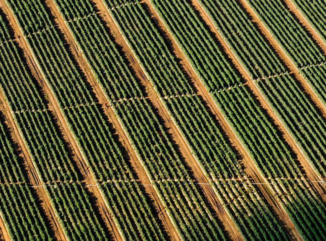 Unleash Your Creativity: Fun Ways to Color Your Stitch