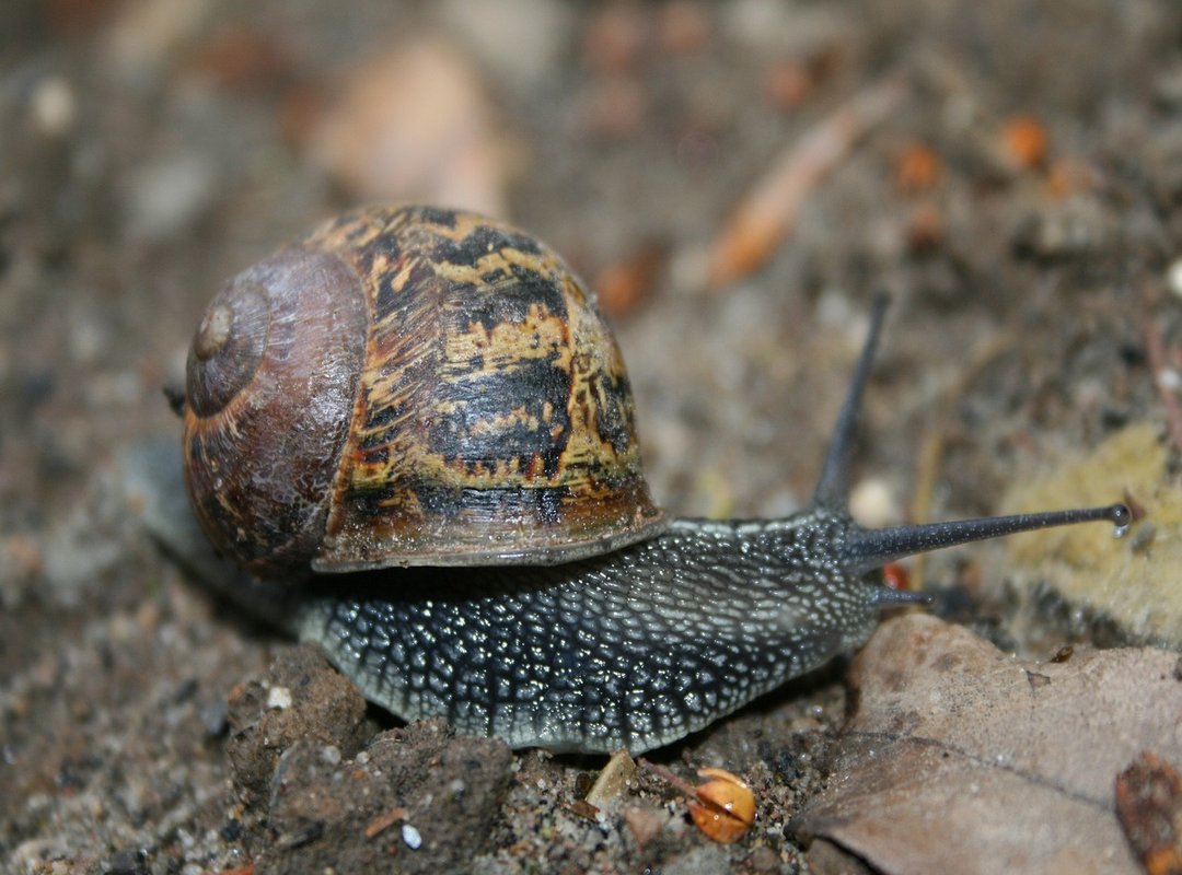 How to Get Started and Use TotalSportekPro Safely